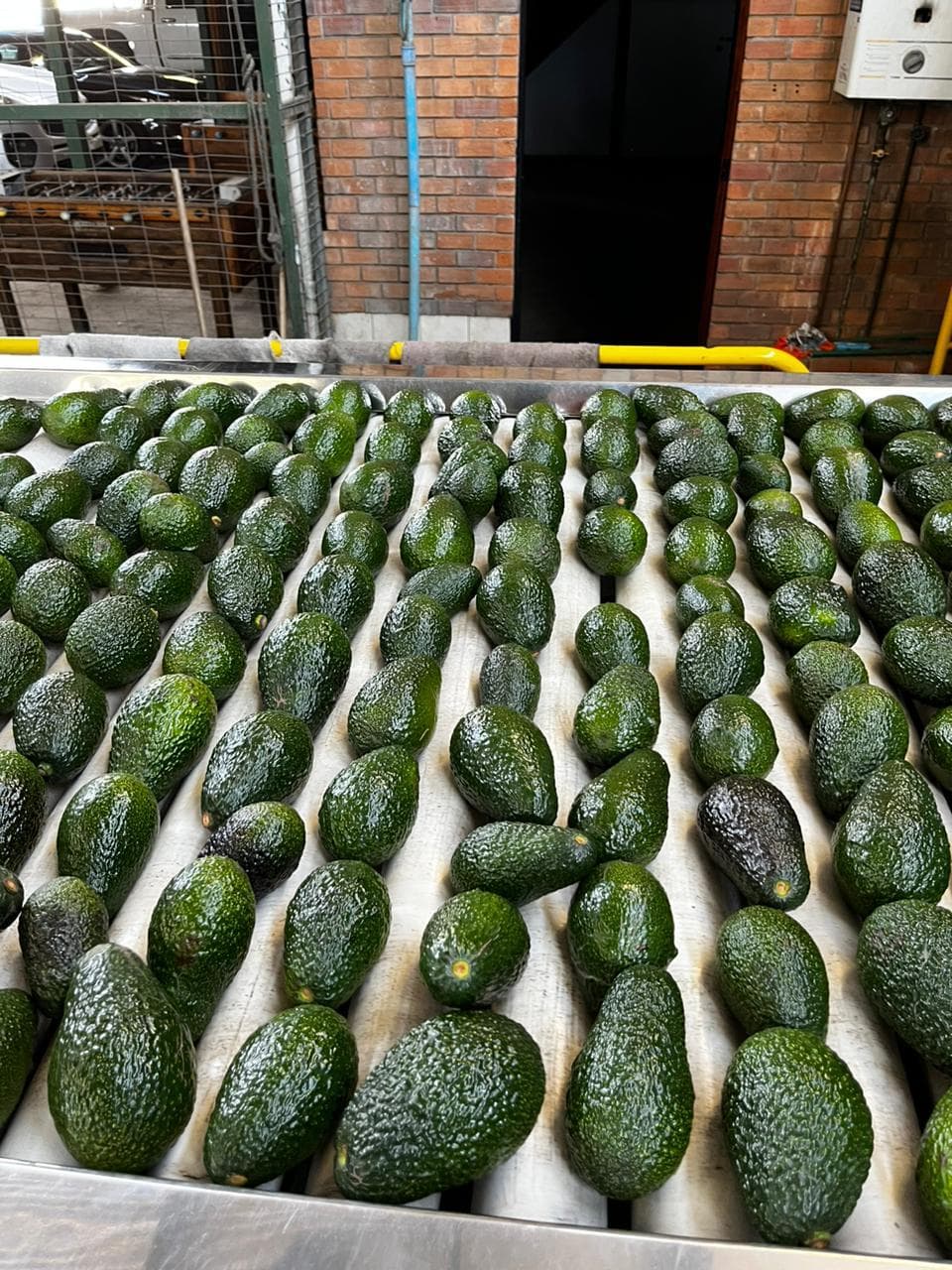 Galería 16